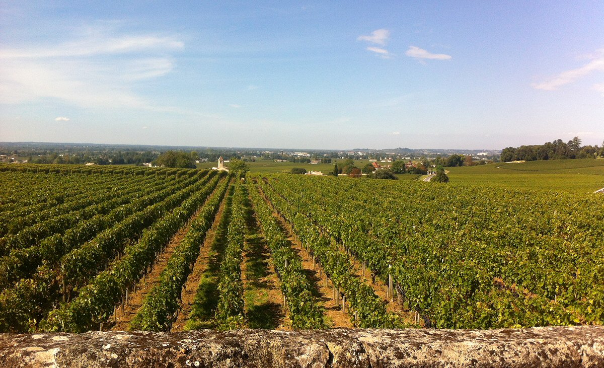 Pomerol & Saint-Emilion